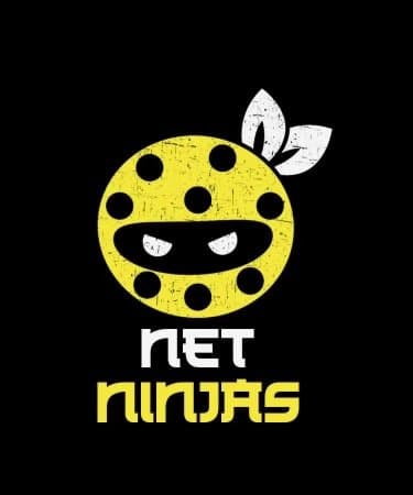 Net Ninjas team logo